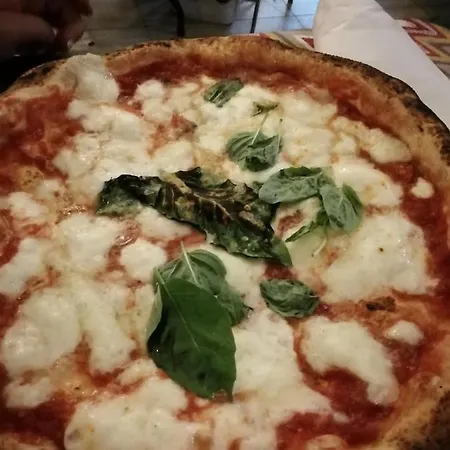 Albert's House Neapel